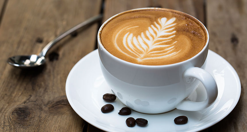Die besten Wiener Cafés coffee Cafe